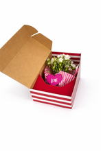 Cargar imagen en el visor de la galería, Caja Bouquet  Rayas Rojo
