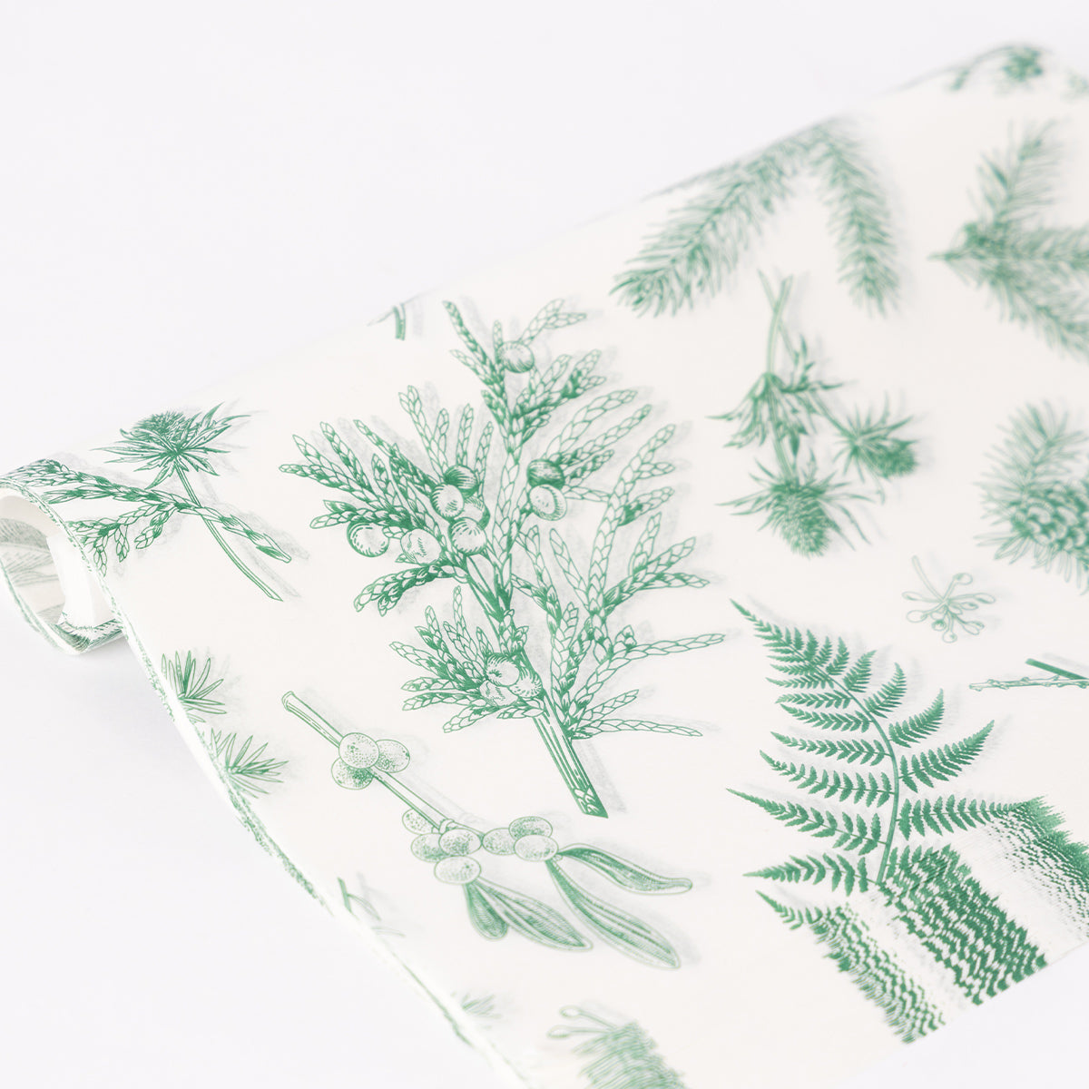 Holiday Paper Pine & Spruce