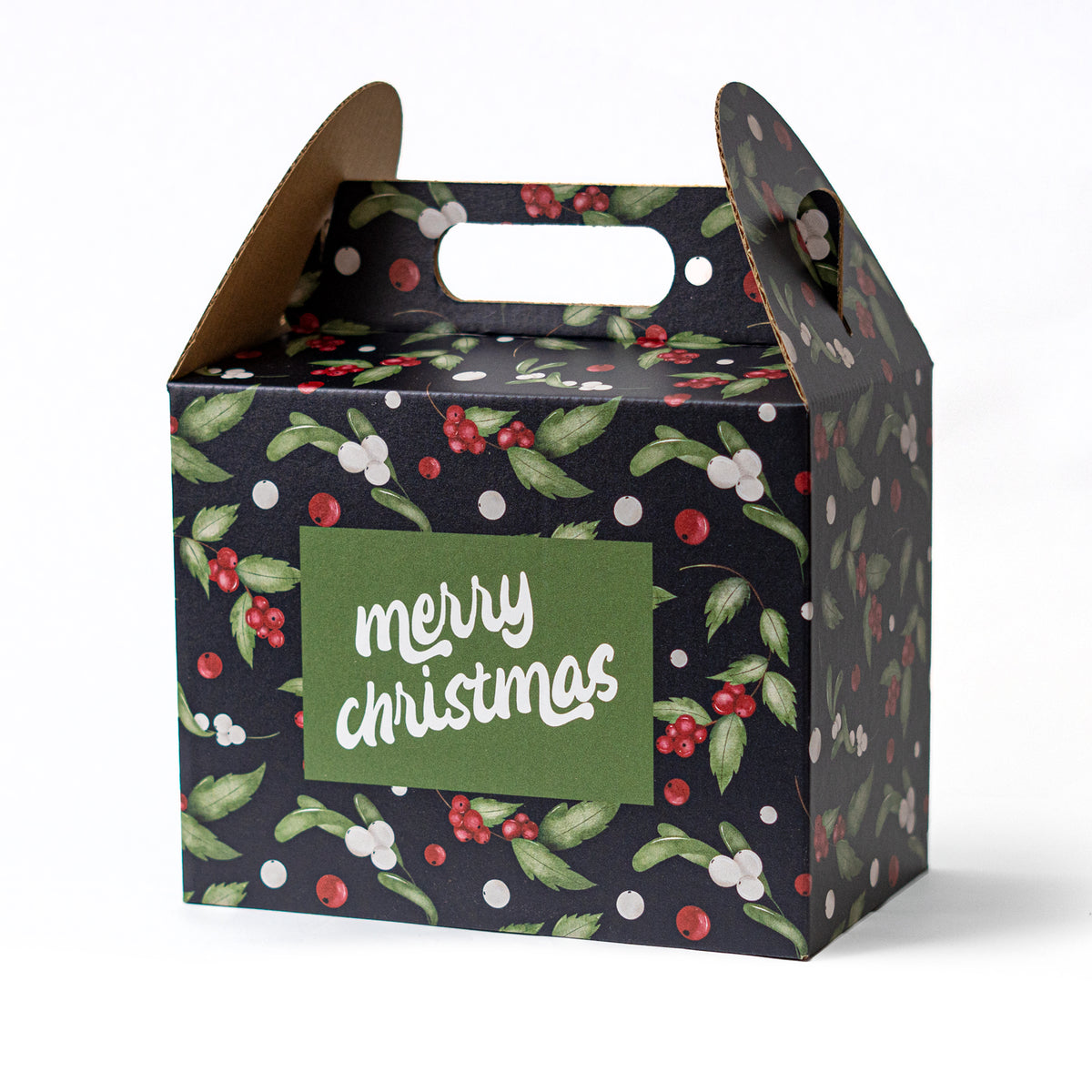 Bluey lunch box bambini lunch box scuola sandwich box Bluey lunch box bambini lunch box scuola sandwich box